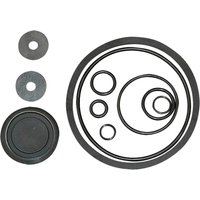 FKM Gasket Kit 425 435 Pressure Sprayers