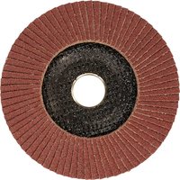 Stanley Aluminium Oxide Flap Disc 125mm 60g Pack of 1 Stanley Aluminium Oxide Flap Disc 125mm 60g Pack of 1