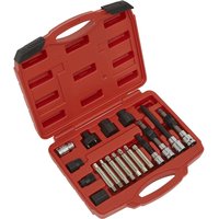 Sealey 18 Piece Alternator Freewheel Pulley Removal Set Sealey 18 Piece Alternator Freewheel Pulley Removal Set