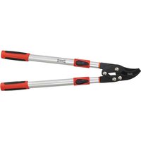 Telescopic Bypass Loppers
