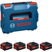 Bosch 1.600.A03.73H 5.5 Ah 18V Battery Pack, For Use With Multi Brand Battery Alliance AMPShare