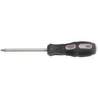 Draper Expert Torx Screwdriver T25 100mm Draper Expert Torx Screwdriver T25 100mm