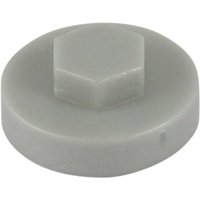 Match Hexagon Screw Cover Cap 5 16" x 16mm Merlin Pack 1000