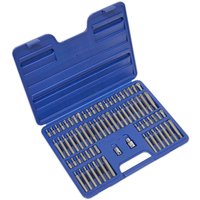 74 Piece Ribe Spline Hex Torx Security Torx Bit Set