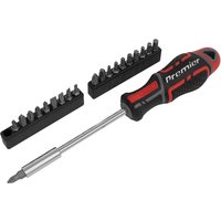 Sealey 21 Piece GripMAX Screwdriver and Bit Set Sealey 21 Piece GripMAX Screwdriver and Bit Set