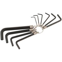 10 Piece Hexagon Key Set on Ring Metric