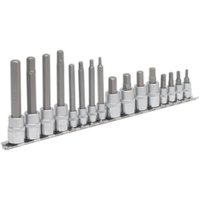 16 Piece Combination Drive Hexagon Socket Bit Set Metric