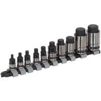 Premier 10 Piece Combination Drive Hex Socket Bit Set Metric