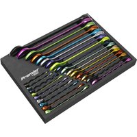 Premier 25 Piece Coded Combination Spanner Set