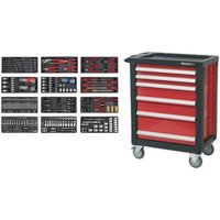 6 Drawer Roller Cabinet 298 Piece Hand Tool Kit