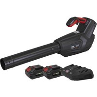 CP40VB Twin 20v Cordless Leaf Blower 2 x 4ah Li ion Battery Charger