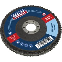 Sealey Zirconium Abrasive Flap Disc 100mm 40g Pack of 1 Sealey Zirconium Abrasive Flap Disc 100mm 40g Pack of 1