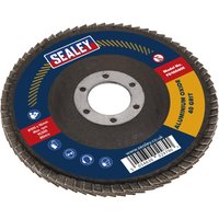 Sealey Aluminium Abrasive Flap Disc 100mm 40g Sealey Aluminium Abrasive Flap Disc 100mm 40g