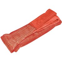 Sealey Lifting Strap 2m 5 Tonne Sealey Lifting Strap 2m 5 Tonne