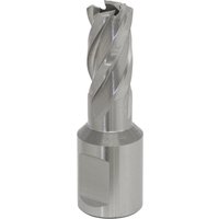 Sealey Rotabor Weldon Shank HSS Mag Drill Cutter 12mm 25mm Sealey Rotabor Weldon Shank HSS Mag Drill Cutter 12mm 25mm
