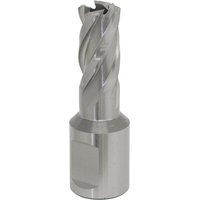 Sealey Rotabor Weldon Shank HSS Mag Drill Cutter 13mm 25mm Sealey Rotabor Weldon Shank HSS Mag Drill Cutter 13mm 25mm