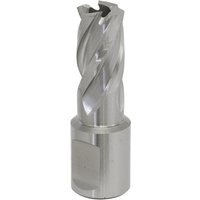Sealey Rotabor Weldon Shank HSS Mag Drill Cutter 15mm 25mm Sealey Rotabor Weldon Shank HSS Mag Drill Cutter 15mm 25mm