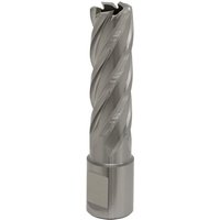 Sealey Rotabor Weldon Shank HSS Mag Drill Cutter 17mm 50mm Sealey Rotabor Weldon Shank HSS Mag Drill Cutter 17mm 50mm
