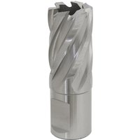 Sealey Rotabor Weldon Shank HSS Mag Drill Cutter 20mm 25mm Sealey Rotabor Weldon Shank HSS Mag Drill Cutter 20mm 25mm