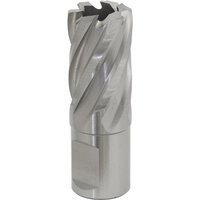 Sealey Rotabor Weldon Shank HSS Mag Drill Cutter 21mm 25mm Sealey Rotabor Weldon Shank HSS Mag Drill Cutter 21mm 25mm