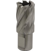 Sealey Rotabor Weldon Shank HSS Mag Drill Cutter 22mm 25mm Sealey Rotabor Weldon Shank HSS Mag Drill Cutter 22mm 25mm