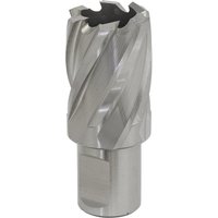 Sealey Rotabor Weldon Shank HSS Mag Drill Cutter 24mm 25mm Sealey Rotabor Weldon Shank HSS Mag Drill Cutter 24mm 25mm