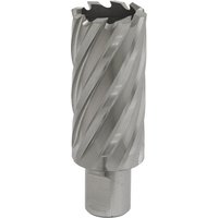 Sealey Rotabor Weldon Shank HSS Mag Drill Cutter 28mm 50mm Sealey Rotabor Weldon Shank HSS Mag Drill Cutter 28mm 50mm