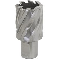Sealey Rotabor Weldon Shank HSS Mag Drill Cutter 29mm 25mm Sealey Rotabor Weldon Shank HSS Mag Drill Cutter 29mm 25mm