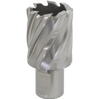 Sealey Rotabor Weldon Shank HSS Mag Drill Cutter 30mm 25mm Sealey Rotabor Weldon Shank HSS Mag Drill Cutter 30mm 25mm