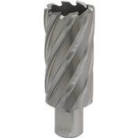 Sealey Rotabor Weldon Shank HSS Mag Drill Cutter 32mm 50mm Sealey Rotabor Weldon Shank HSS Mag Drill Cutter 32mm 50mm