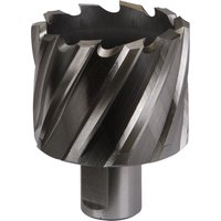 Sealey Rotabor Weldon Shank HSS Mag Drill Cutter 48mm 25mm Sealey Rotabor Weldon Shank HSS Mag Drill Cutter 48mm 25mm