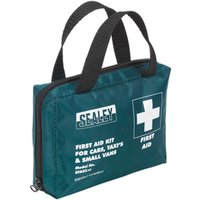 Compact Travel First Aid Kit