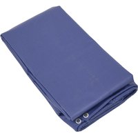 Sealey Heavy Duty PVC Tarpaulin Blue 4.8m 6.1m Sealey Heavy Duty PVC Tarpaulin Blue 4.8m 6.1m