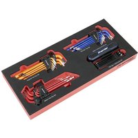 Premier 43 Piece Hex Torx Key Set Module Tray