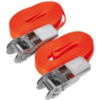 Sealey 2 Piece Ratchet Tie Down Strap 25mm 4.5m 800kg Sealey 2 Piece Ratchet Tie Down Strap 25mm 4.5m 800kg