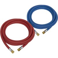 Oxyacetylene Welding Hose Set