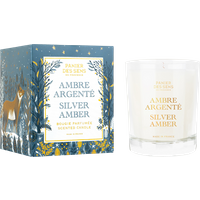 Panier des Sens Ambre Argenté Bougie Parfumée Panier des Sens Ambre Argenté Bougie Parfumée