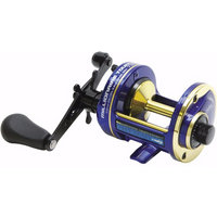 Top 10 Baitcaster Reels UK (2026) 10 Daiwa - 7HT Mag Multiplier Reel