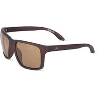 Fortis - Bays - Switch Brown