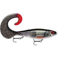 Reading Water: What Twenty Years of Pike Fishing Taught Me 1 Rapala - X-Rap Otus 17cm-Live Roach