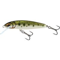 Spinning for Trout UK: Complete Guide to Lures and Tactics 2 Salmo - Minnow Lures-Minnow 6cm Sinking Yasame Ayu
