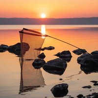 Nash - Air Force F40 Landing Net 46"