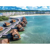 Princess Senses the Mangrove