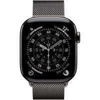 Apple Loop in maglia milanese ardesia (42 mm)