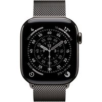 Apple Loop in maglia milanese ardesia (42 mm)