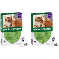 Advantage für gr Katzen und gr Zierkaninchen 80 mg