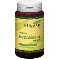 Nattokinase Kapseln