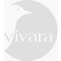 Naturbeobachtung - Vivara Apfel-Rose