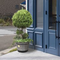 VegTrug Build A Barrel Medium 46cm - Grey Wash Original Organics