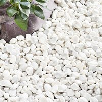 Kelkay Coral White Pebbles Decorative Aggregate, Bulk Bag Original Organics